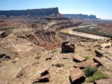 Moab-White Rim 4-08 088